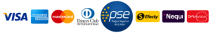 MEDIOS DE PAGO
